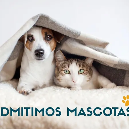 Bahia Cantabria 3000 Penzion Santander